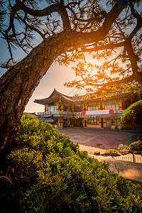 南韩釜山日落时寺庙海岸地标旅游海滩游客宗教旅行爬坡吸引力建筑学图片