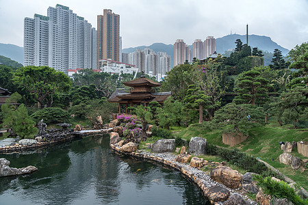 香港钻石山地区的南连园花园园林池塘公共公园城市佛教徒植物宗教公园图片