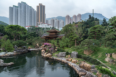 香港钻石山地区的南连园花园园林池塘公共公园城市佛教徒植物宗教公园背景图片