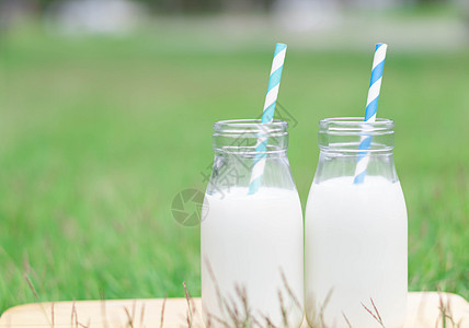 绿色草地自然背景的热杯牛奶瓶 f食物木头玻璃白色杯子桌子奶制品稻草太阳奶牛图片