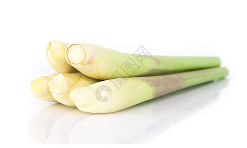 白底 草药和医学遗传中孤立的柠檬草绿色美食香料白色香茅香气食物热带味道芳香图片