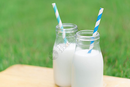 绿色草地自然背景的热杯牛奶瓶 f太阳早餐杯子玻璃奶牛农场白色桌子食物奶制品图片