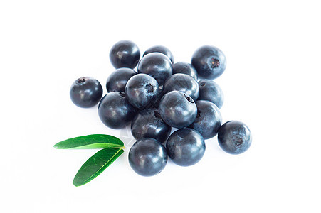 新鲜蓝莓 绿叶 白底隔离在白色背景上宏观浆果叶子团体植物小路食物水果覆盆子生长图片