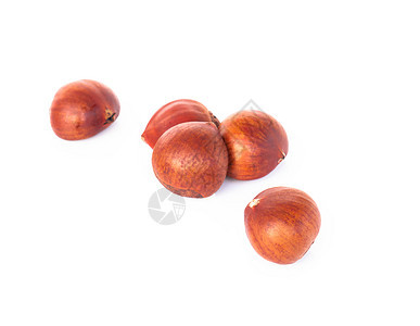 在白色背景 健康f 上隔离的近身马子栗子坚果小吃植物收成季节种子食物棕色水果图片