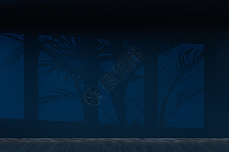 空房间和阴影 木地板 3d 渲染木头生活展示艺术地面材料插图墙纸框架月光图片