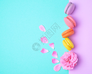 糖果色4个多色的加奶油和粉红玫瑰花蕾的玉子背景