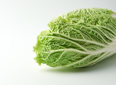 绿色的北京卷心菜水果蔬菜叶子植物营养饮食收成沙拉工作室农业图片