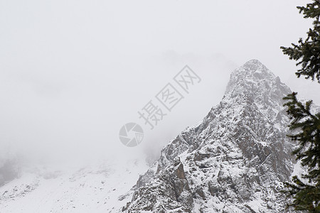 有树的雪山风景天空旅游岩石森林景观全景松树天气白色图片