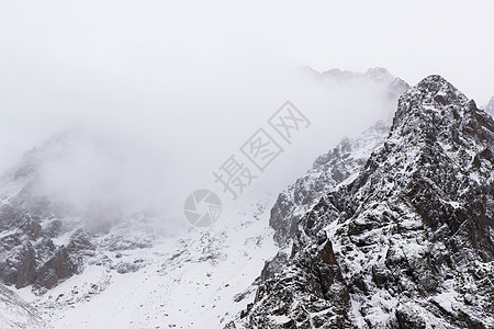 有树的雪山森林天空旅游全景白色季节风景旅行景观岩石图片