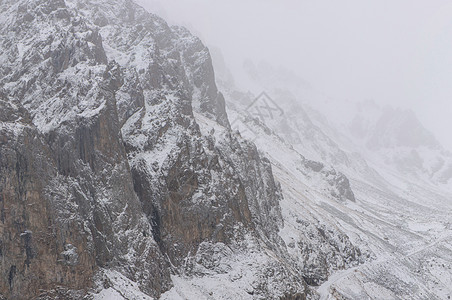 有树的雪山白色天空风景景观森林岩石旅游天气旅行全景图片