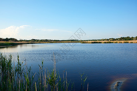 含碘和矿物的食疗湖在中纬度池塘反射森林天空蓝色绿色季节芦苇矿物质公园图片