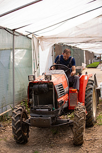 工人试图在温室开拖拉机手术园艺男人场地栽培农业驾驶农田农活农业机械图片