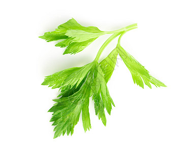 白色背景的新鲜绿菜菜叶 健康食品饮食食物节食叶子绿色蔬菜烹饪植物图片