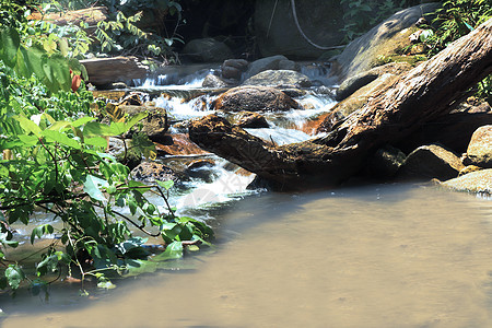 近距离观察小瀑布流到石头上荒野热带苔藓公园叶子旅游溪流运动天堂瀑布图片