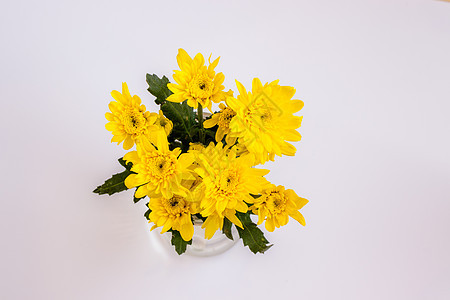 黑色背景的黄菊花束 黄色菊花图片