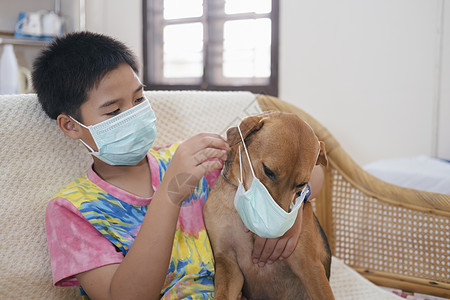 戴医疗面具的男孩在狗身上戴上医疗面具传染性健康儿科男生乐趣流感玩具病人童年药品图片