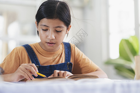 亚裔女孩在家读书做家庭功课学生阅读班级写作学校作业孩子们办公桌语文孩子图片