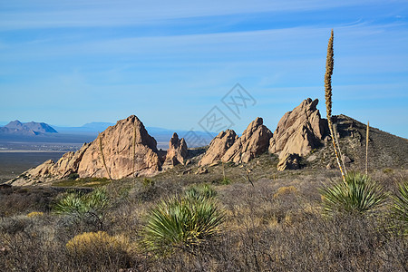 带有Yucca cacti和沙漠植物的山地景观世界蓝色荒野公园岩石旅行天空植物群衬套叶子图片