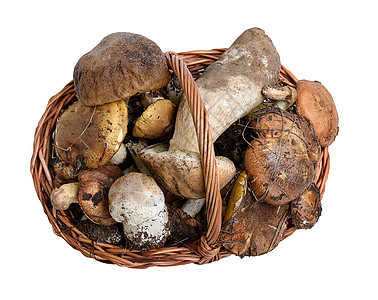 棕色螺旋篮中可食用的森林蘑菇图片