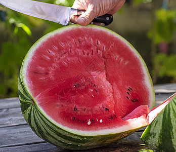 人手用刀切成半个成熟的大西瓜浆果红色营养食物圆形茶点水果饮食种子绿色背景图片