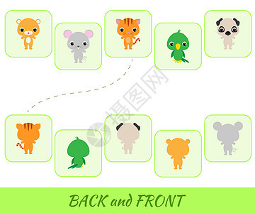适合儿童的教育游戏 找到背面和正面活动卡通片挑战荒野学习乐趣幼儿园逻辑动物老鼠背景图片