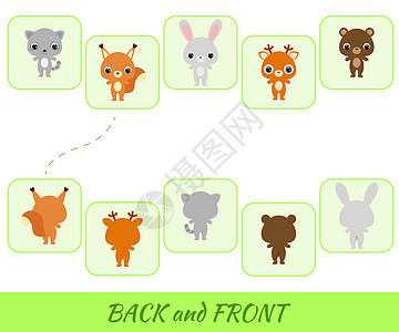 适合儿童的教育游戏 找到背面和正面活动松鼠野兔乐趣荒野动物兔子注意力挑战插图图片