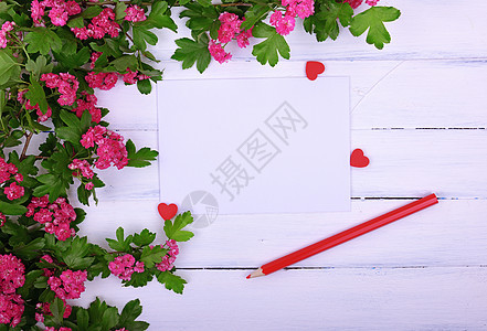 白面上空纸和红木铅笔的空白页图片