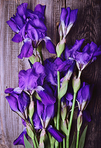 蓝色花朵的花束图片