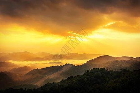 清晨的阳光薄雾悬崖树木叶子场景戏剧性风景山脉森林天空图片