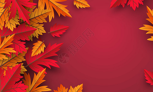 红色背景上的秋叶设计与复制空间矢量 i图片