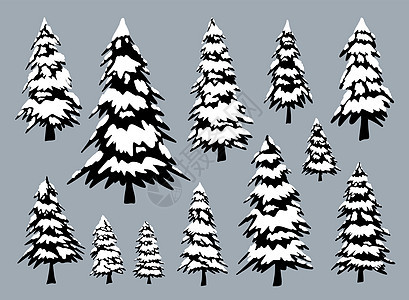 冬天有雪的松树矢量图图片
