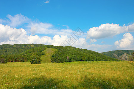 美丽的夏季风景叶子针叶全景山脉场景蓝色天空森林太阳爬坡图片