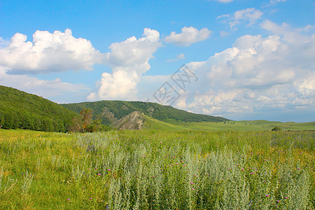 美丽的夏季风景土地场景季节草地太阳针叶山脉阳光全景牧场图片