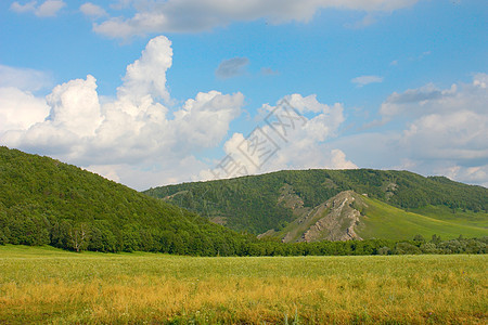 美丽的夏季风景山脉场地草地爬坡季节牧场全景森林土地环境图片