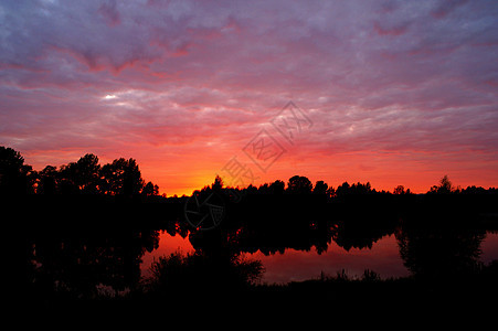 清晨日出在河上太阳光线池塘边缘反射地平线天空金子木头森林阴霾图片