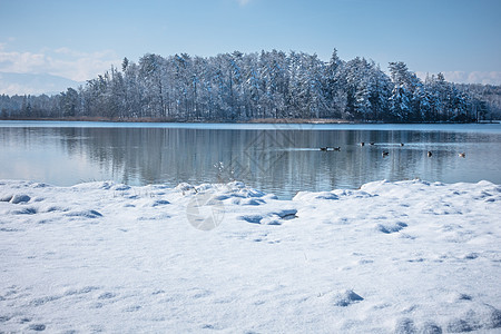 湖 德国冬季风景蓝色高山草地游泳动物鸟类情绪图片