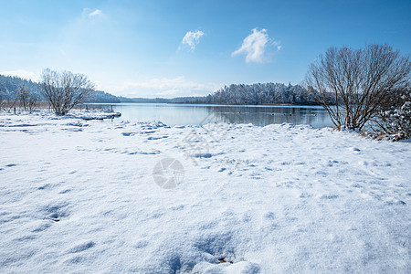 湖 德国冬季风景蓝色草地鸟类高山动物游泳情绪图片
