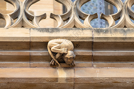 圣提奥巴尔德教堂的详情 丹数字吸引力石头宗教游客建筑大教堂教会建筑学褐色图片
