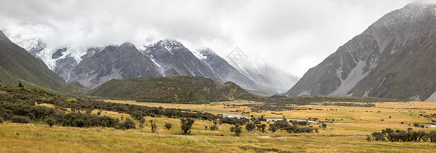 新西兰南部的风景图案天气灰色植物公园情绪白色天空森林旅游旅行图片