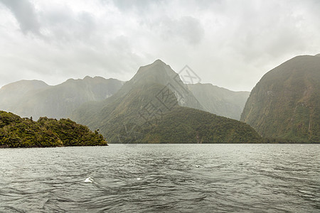 新西兰NZA国家公园 索尔德菲奥德兰国家公园丘陵森林山地人薄雾公园天气国家游客植物绿色图片