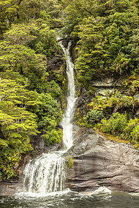 新西兰菲奥德兰国家公园植物山地人丘陵瀑布国家森林植物群风景树木绿色图片