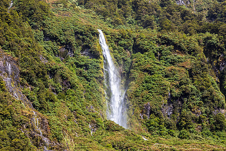 新西兰菲奥德兰国家公园丘陵国家风景绿色山地人瀑布森林树木植物植物群图片