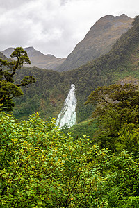 新西兰菲奥德兰国家公园植物风景丘陵山地人蓝色天空公园森林绿色国家图片