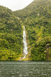 新西兰菲奥德兰国家公园公园瀑布绿色丘陵植物群山地人植物森林国家树木图片