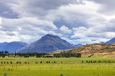 新西兰南部的风景图案绿色树木旅游森林国家乡村植物群场地蓝色天空图片