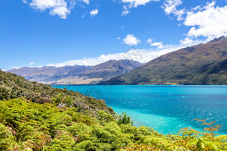 Wanaka湖新西兰南部岛屿旅游全景反射草地爬坡天线蓝色天空海岸旅行图片