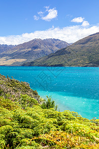 Wanaka湖新西兰南部岛屿旅行反射全景天空天线晴天风景旅游农村海岸图片