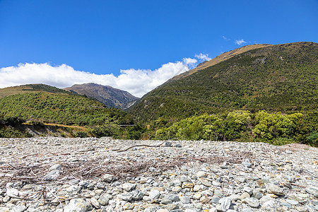 Wanaka湖的石块;新西兰南部岛屿图片