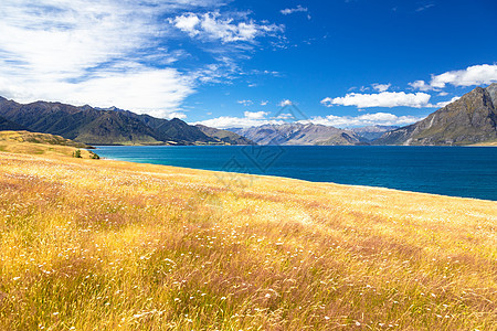 Wanaka湖新西兰南部岛屿全景农村天空晴天海岸天线蓝色草地风景橙子图片