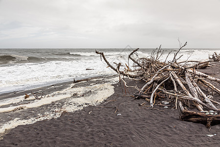 新西兰 Hokitika荷基提卡荒野支撑鹅卵石海滩天空旅游海岸地平线天气木头图片